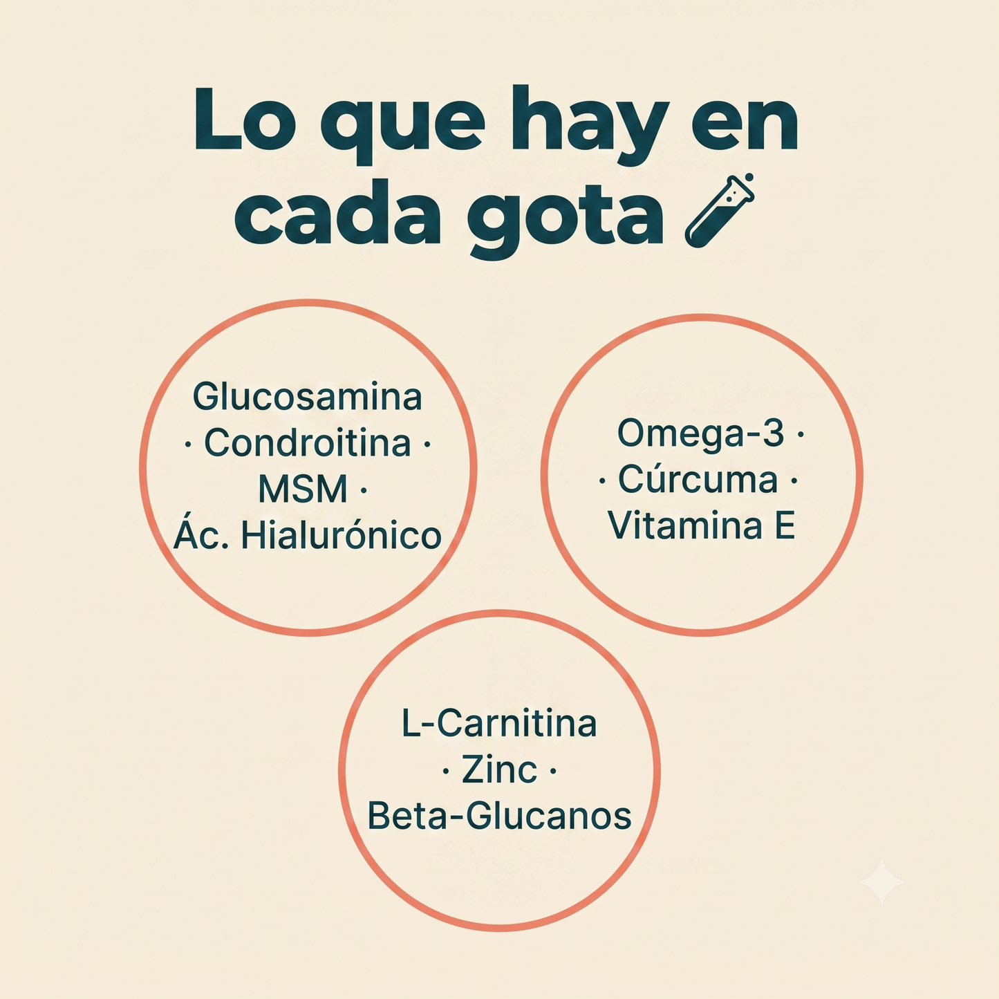 asdsadas