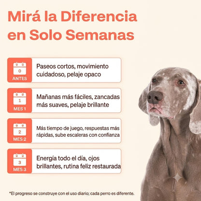 Naru Wellness — El Multivitamínico Completo que Reemplaza 5+ Suplementos para el Bienestar Diario de tu Perro.