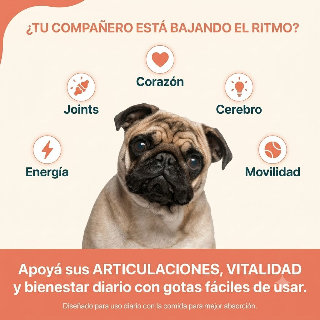 Naru Wellness — El Multivitamínico Completo que Reemplaza 5+ Suplementos para el Bienestar Diario de tu Perro.