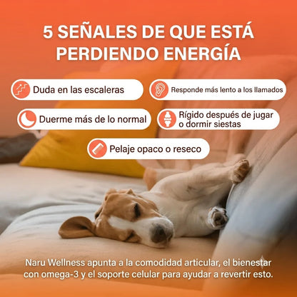 Naru Wellness — El Multivitamínico Completo que Reemplaza 5+ Suplementos para el Bienestar Diario de tu Perro.