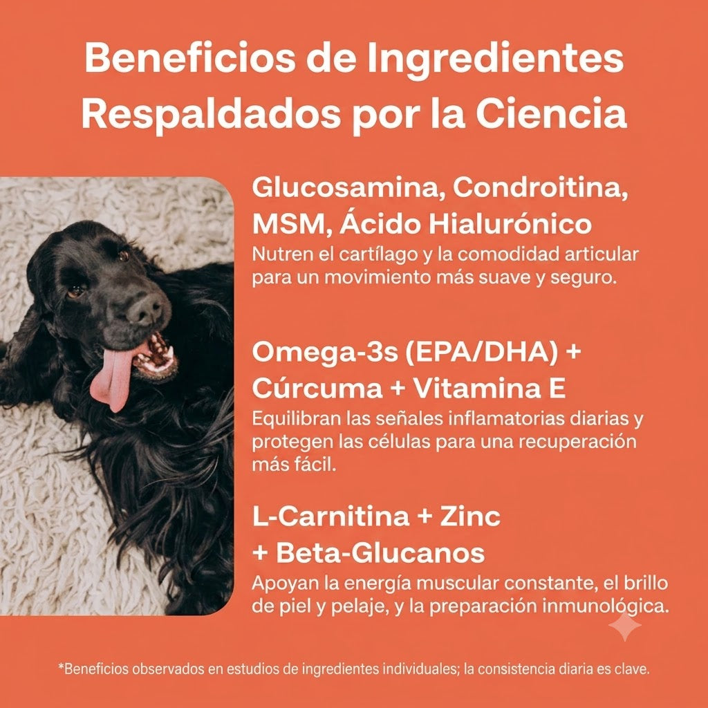 Naru Wellness — El Multivitamínico Completo que Reemplaza 5+ Suplementos para el Bienestar Diario de tu Perro.
